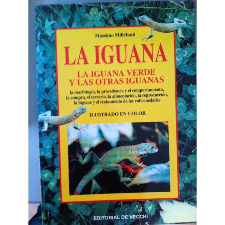 La Iguana. La iguana verde y las otras iguanas.